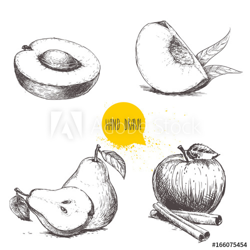 500x500 Hand Drawn Sketch Style Fruits Set Apricot, Peach Quarter - Half Apple Drawing