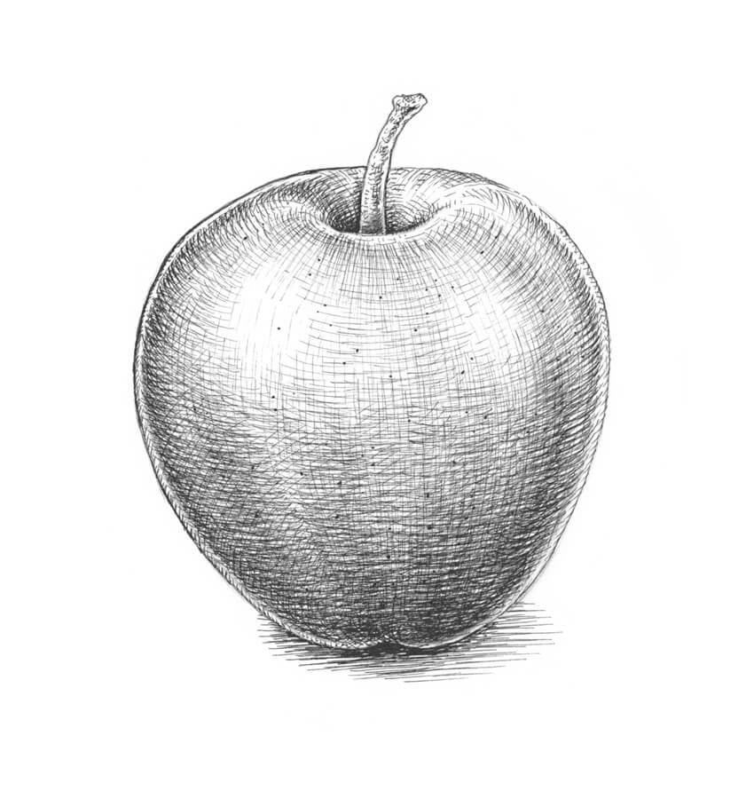 How To Draw An Apple - Half Apple Drawing. 