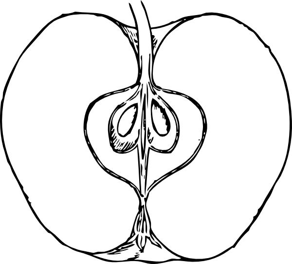 600x542 Piece Of Apple Clip Art - Half Apple Drawing