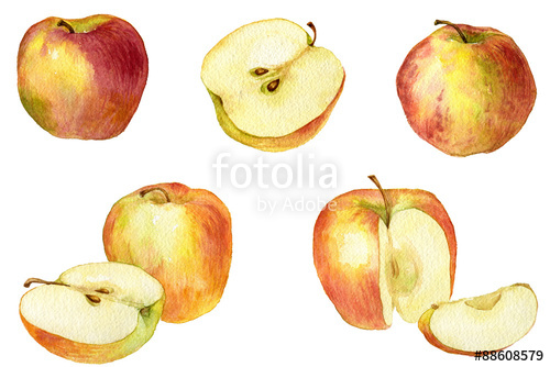 500x334 Apple Drawing - Half Apple Drawing