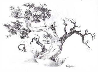 339x250 half dead half alive - Half Dead Half Alive Tree Drawings