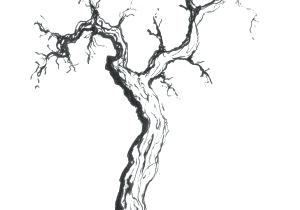 300x210 dead trees drawing pencil drawings dead trees black and white - Half Dead Half Alive Tree Drawings