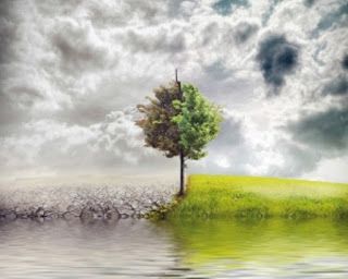 320x256 Death Cafe West Denver - Half Dead Half Alive Tree Drawings