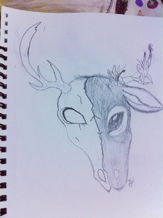 320x428 Life And Death Half Drawing This Is A Deer Skull And Alive Deer - Half Drawing