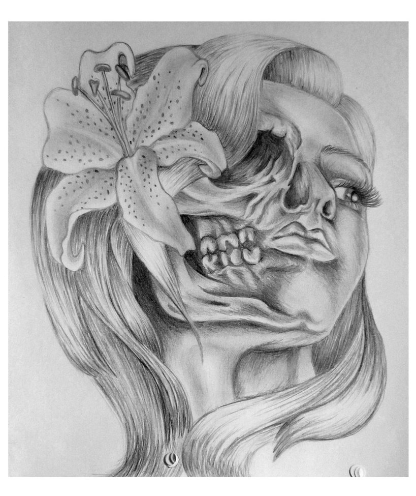 Half Girl Half Skull Drawing at Explore collection