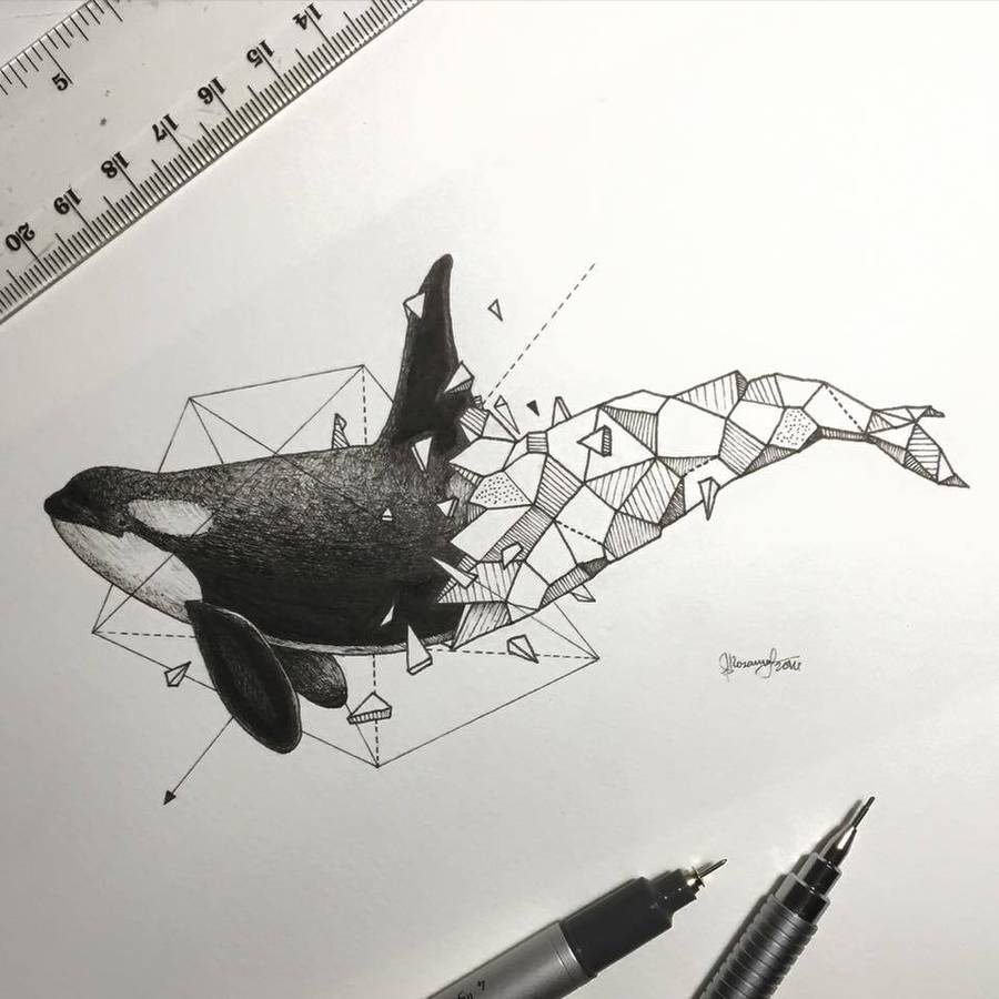 900x900 Lovely Half Geometrical Drawings Of Wild Animals Fubiz Media - Half Photo Half Drawing