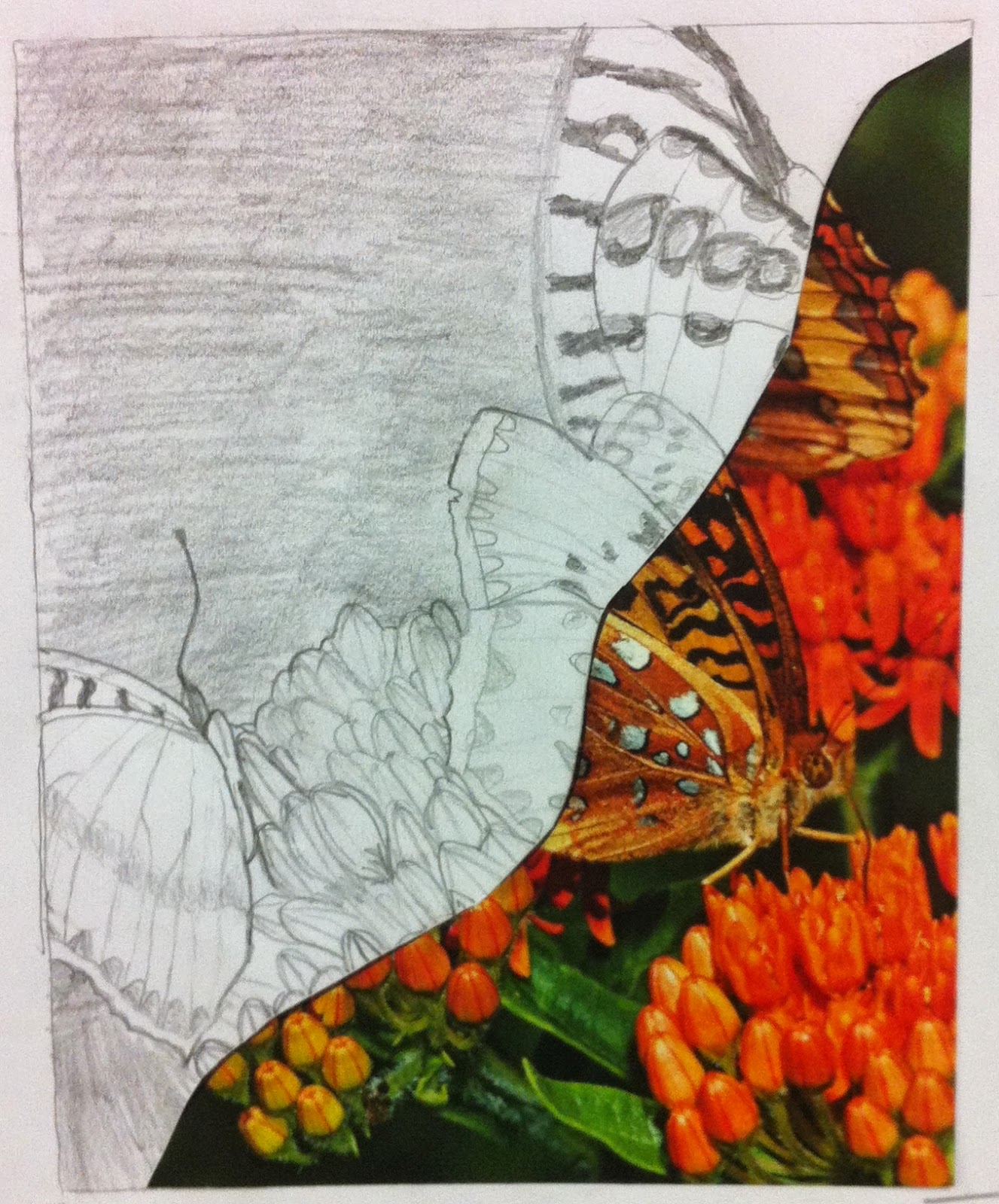 1327x1600 The Way Cool Donald Art Room Grade Magazine Half Drawings - Half Photo Half Drawing