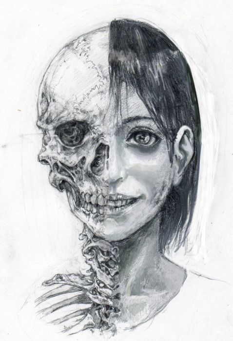 478x700 Skeleton Haunting Art, Decay Art, Half Face Drawing - Half Skeleton Face Drawing