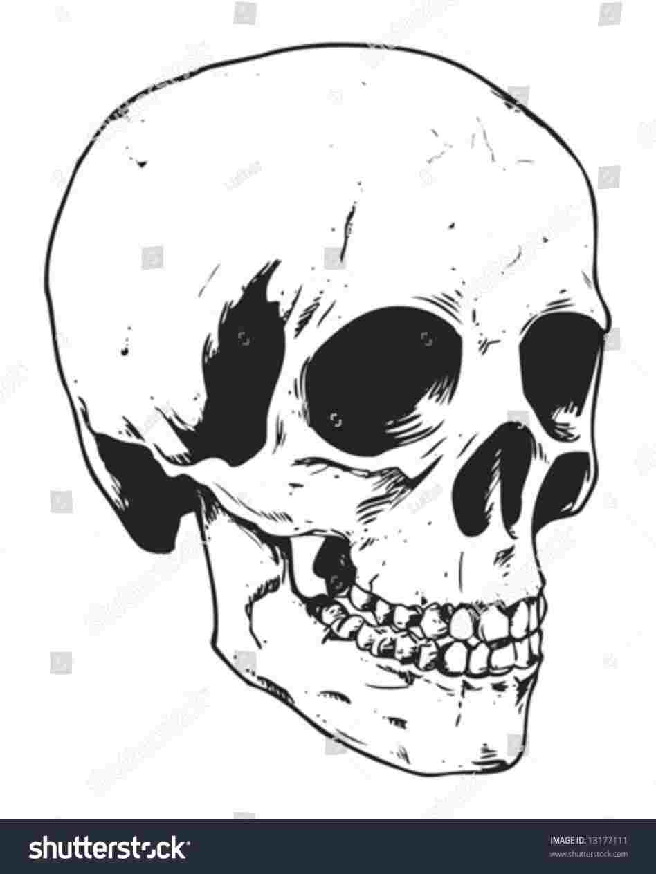 948x1264 Jawless Rhezcanvascom Evil Half Horizontal Skeleton Face Drawing - Half Skeleton Face Drawing