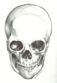236x340 Anime Skeleton Half Face - Half Skeleton Face Drawing