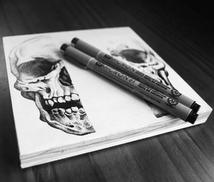 750x640 Half Skulls Drawing - Half Skull Drawing