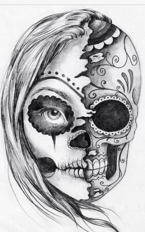 562x897 Huge Collection Of 'half Girl Half Skull Drawing' Download More - Half Skull Drawing