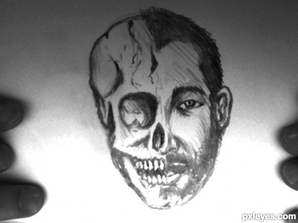 Half Skull Half Face Drawing