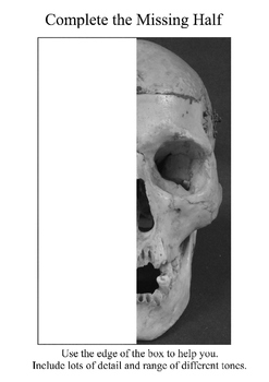 247x350 Complete The Skull Drawing - Half Skull Drawing