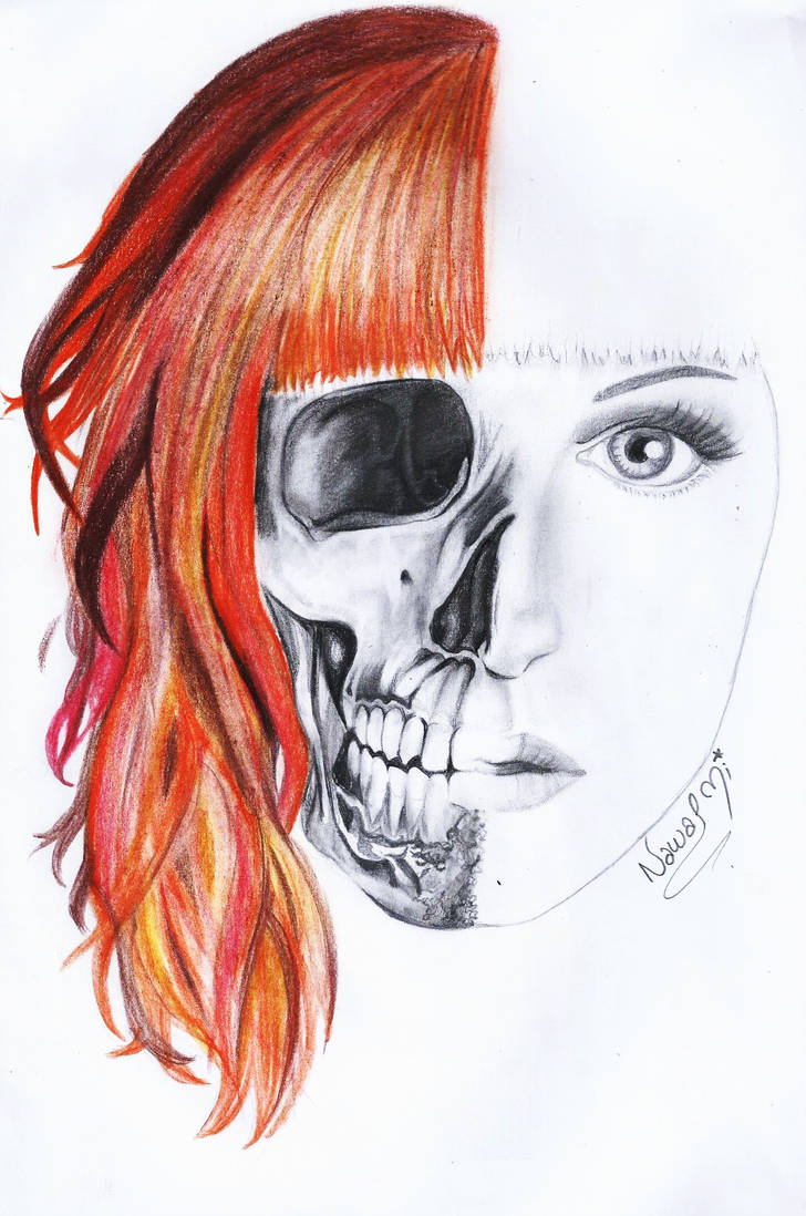 728x1098 Half Skull Face Drawing - Half Skull Face Drawing