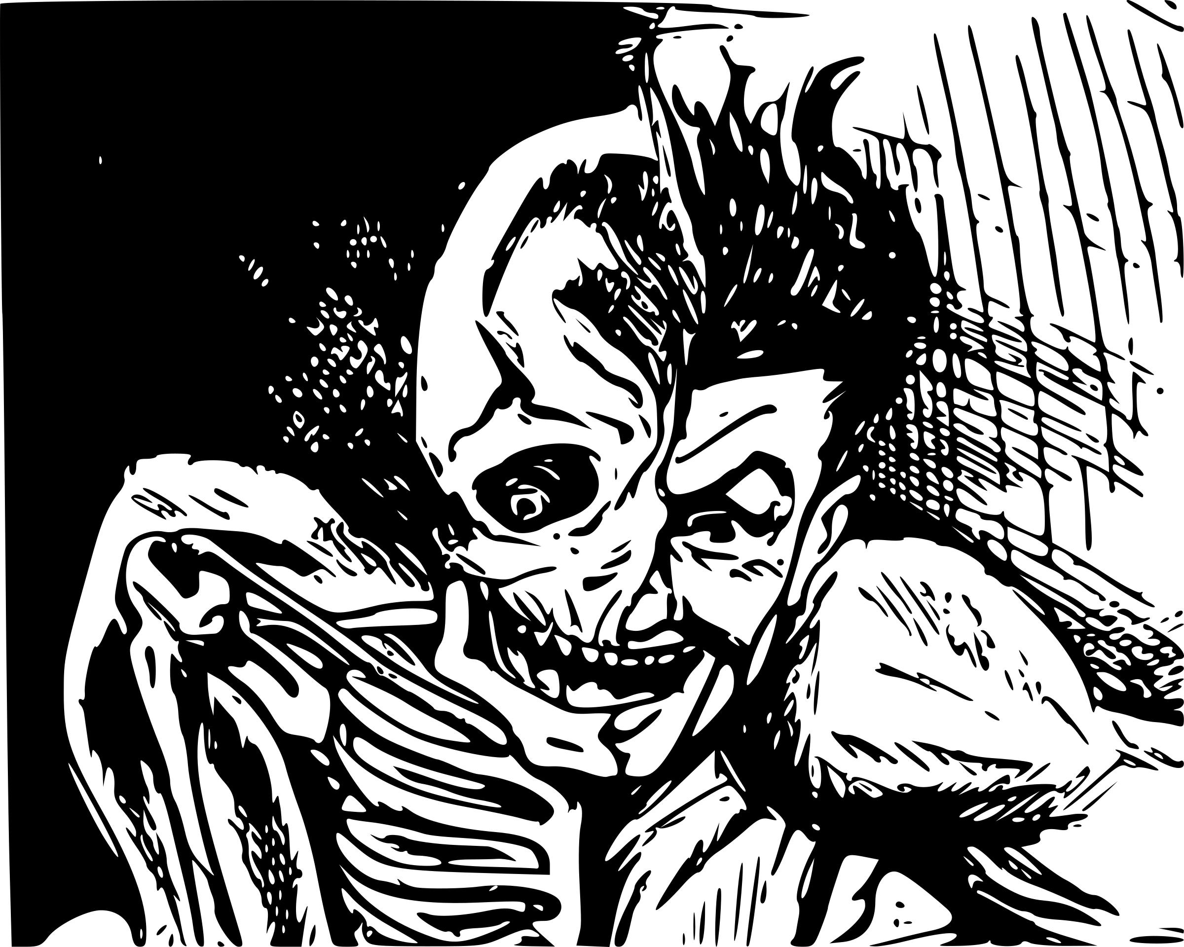 2400x1920 Half Skull Face Drawing - Half Skull Face Drawing