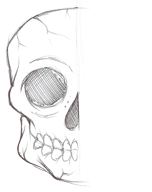 Half Skull Face Drawing At Explore Collection Of Half Skull Face Drawing 