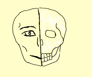 300x250 A Half Face And A Half Skull Face Drawing - Half Skull Face Drawing