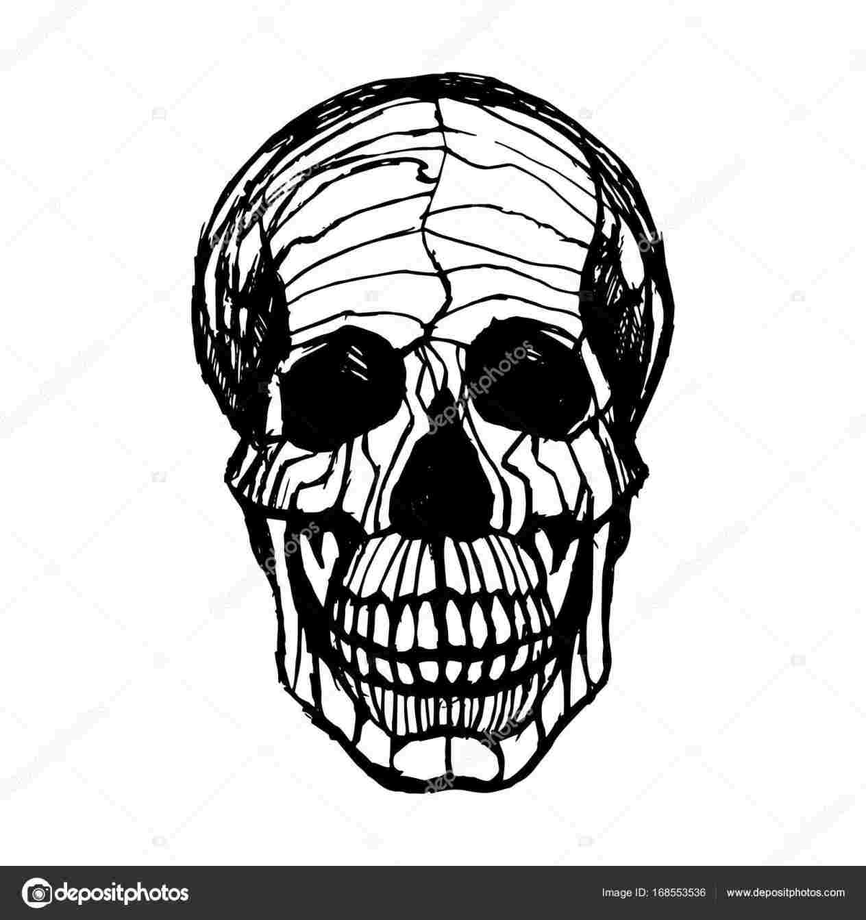 1264x1343 S Rhcom Half Skull Face On Hand Drawing Art - Half Skull Face Drawing