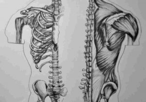 300x210 Half Skull Half Flower Drawing - Half Skull Half Face Drawing