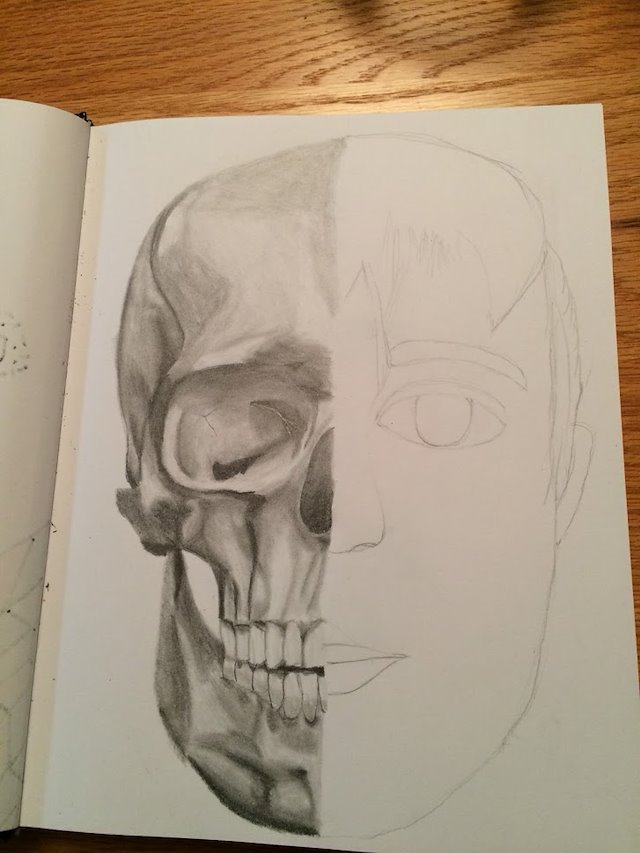 640x853 Sydney Hewitt - Half Skull Half Face Drawing