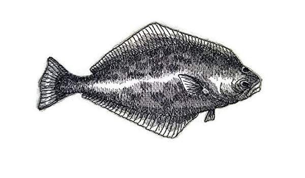 600x350 Nature's Bounty Beautiful Custom Fish Sketch - Halibut Drawing