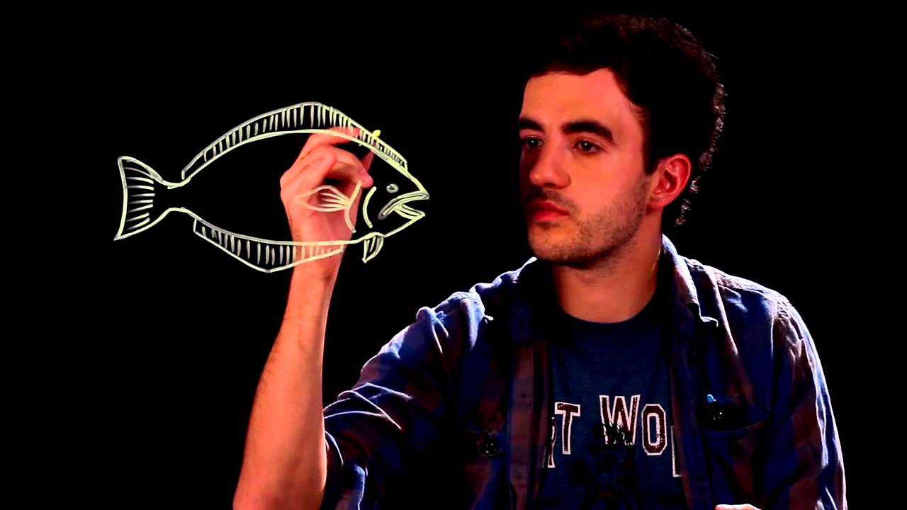 1280x720 How To Draw A Halibut - Halibut Drawing