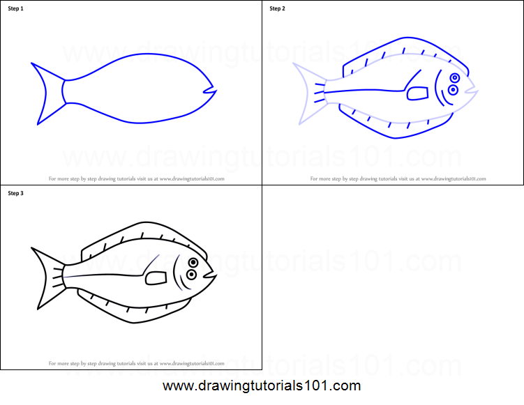 751x581 How To Draw A Halibut Fish For Kids Printable Step - Halibut Drawing
