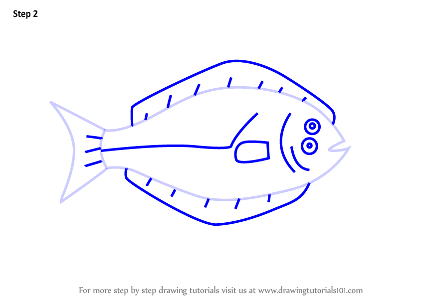 848x602 Learn How To Draw A Halibut Fish For Kids - Halibut Drawing