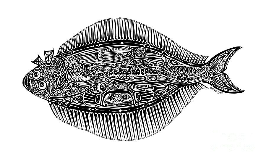 900x544 Halibut Drawing - Halibut Drawing