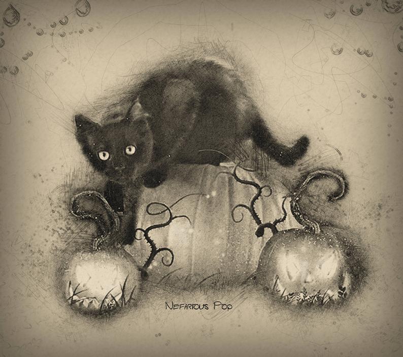 794x703 halloween pumpkin cat drawing digital download digital etsy - Halloween Black Cat Drawing