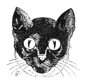 277x269 black cat face drawing for halloween - Halloween Black Cat Drawing