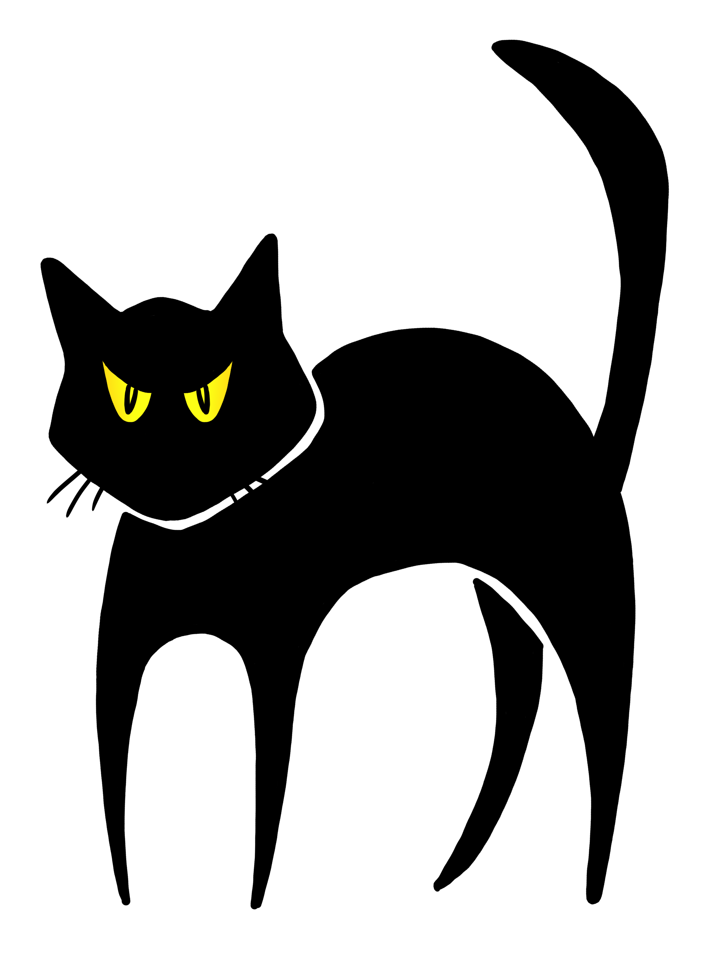 3000x4000 want more knowledge about cats check this out be sure to check - Halloween Black Cat Drawing