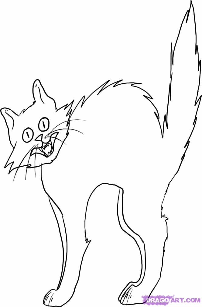 665x1008 How To Draw A Black Cat, Step - Halloween Cat Drawing