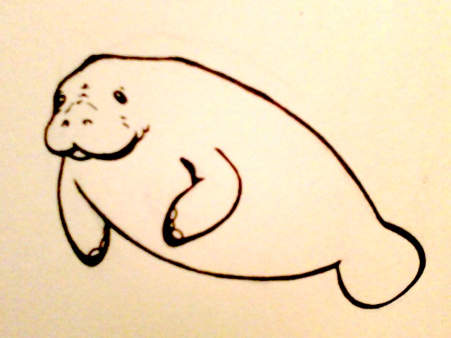 640x480 manatee tattoo design - Halloween Drawing Designs