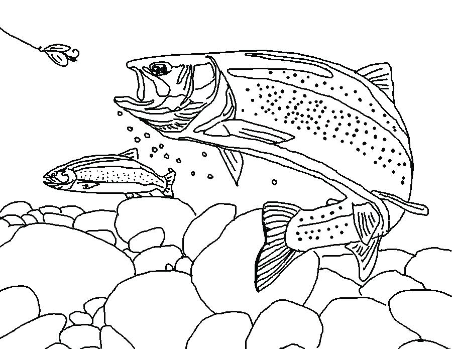 900x695 Easy Fish Drawing For Kids Coloring Pages Halloween Pumpkin Online - Halloween Drawing Pages