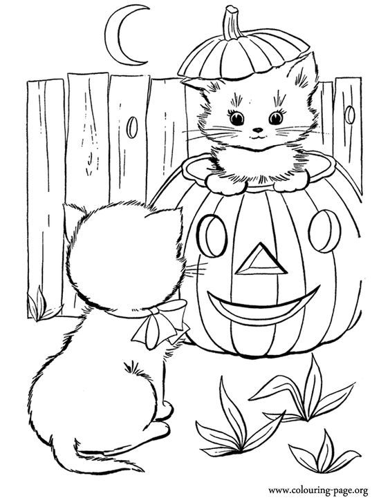 564x721 Free Printable Cute Halloween Drawings Coloring Pictures - Halloween Drawing Pages