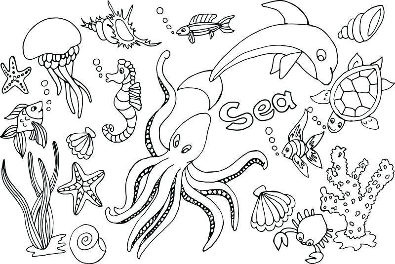 800x535 Coloring Pages Printable Summer Halloween Cat Unicorn How To Draw - Halloween Drawing Pages