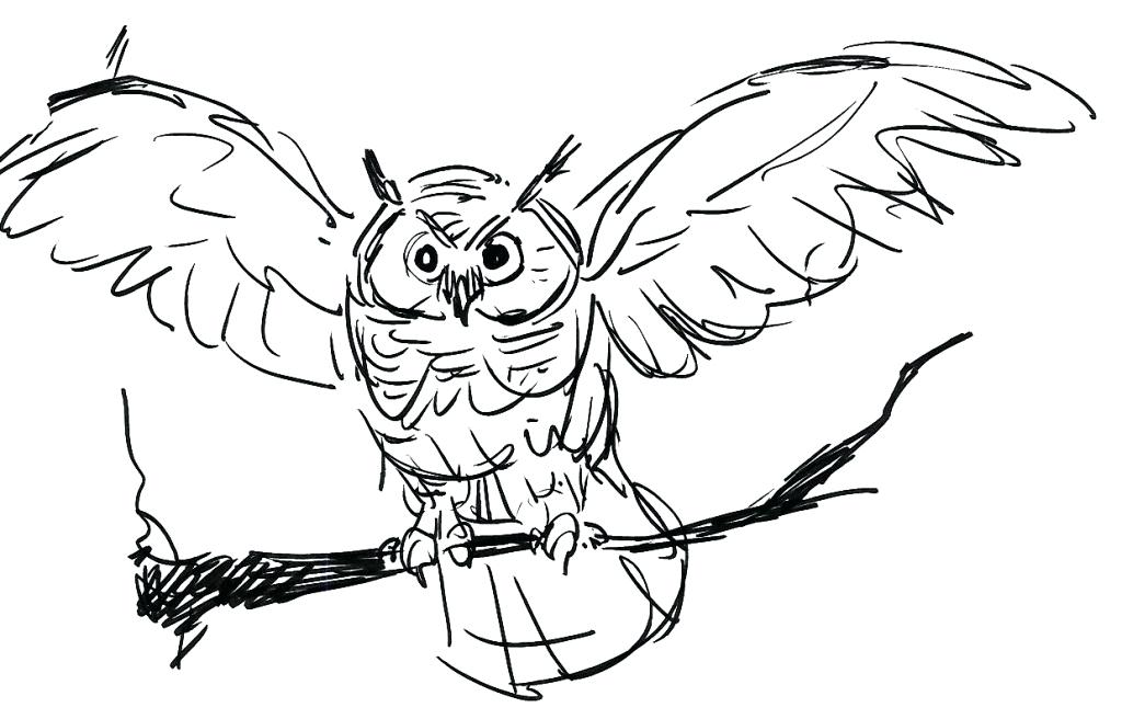 1024x656 Draw An Owl And Coloring For Kids Pages To Print Flowers Unicorn - Halloween Owl Drawing