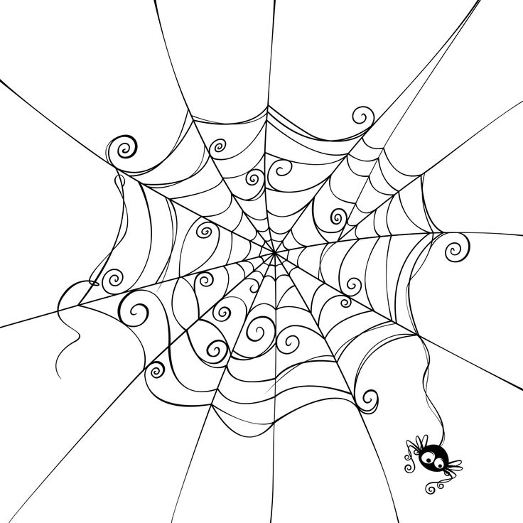 736x736 Drawings Of Halloween Pictures Halloween Spider Drawing Cbs - Halloween Pictures Drawing