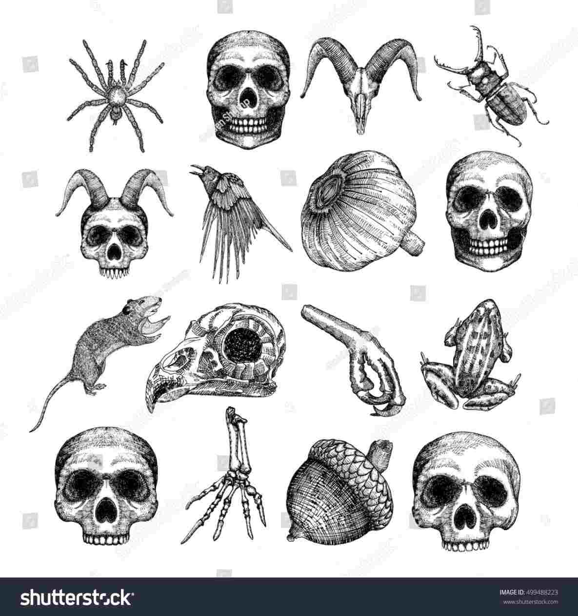 1185x1264 halloween wreath holidays u fall rhcom happy - Halloween Skeleton Drawing