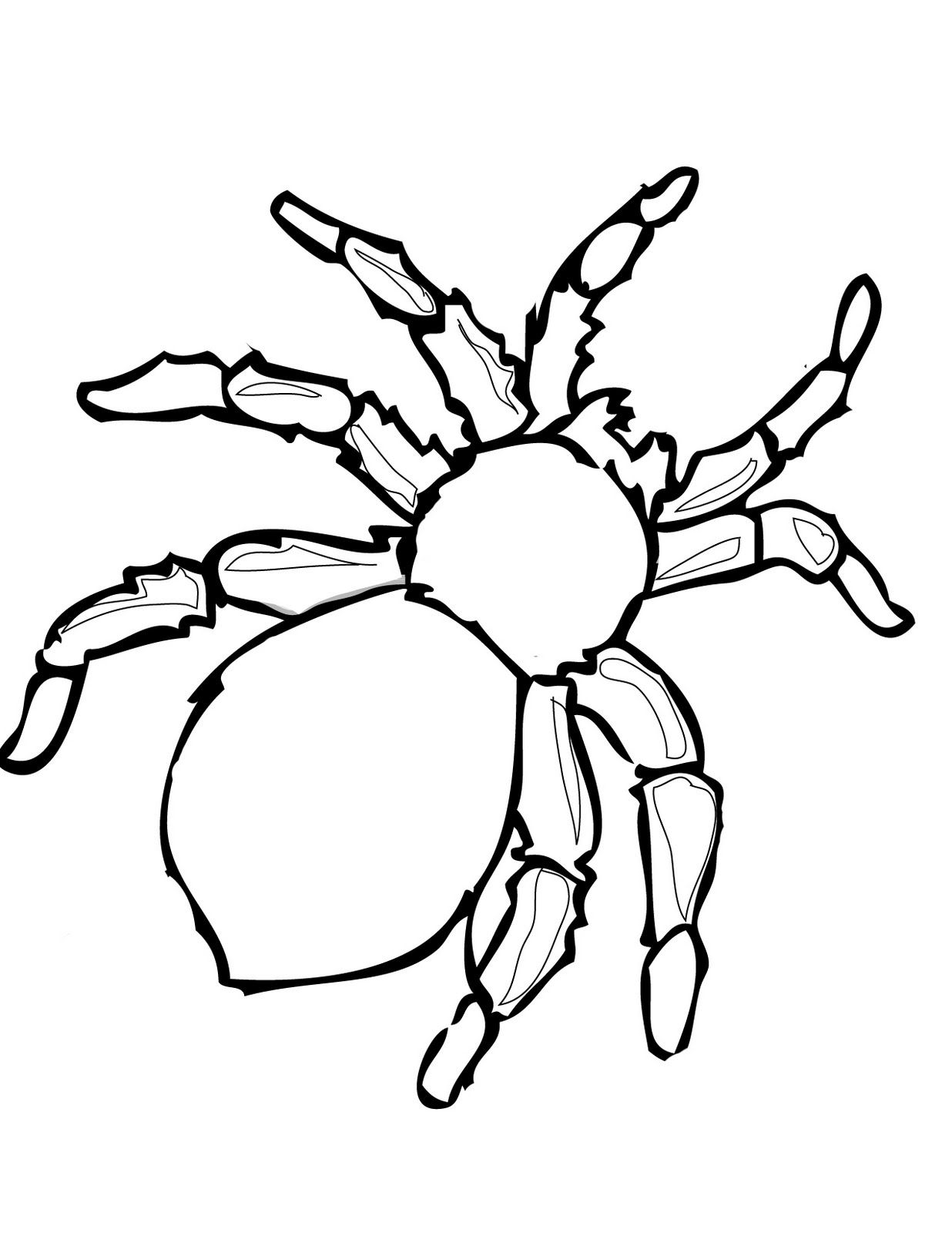 1236x1600 printable halloween decoration cutouts spiders printable - Halloween Spider Drawing