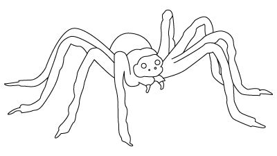 400x225 Spider Drawing Childrens Drawings - Halloween Spider Drawing