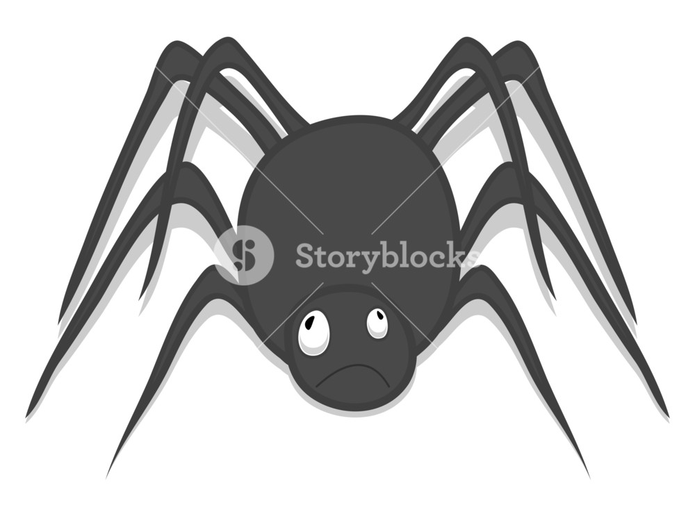1000x744 Drawing Art Of Halloween Spider Royalty Free Stock Image - Halloween Spider Drawing