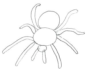 300x245 Easy Spider Drawing How To Draw A Spider Step Easy Halloween - Halloween Spider Drawing
