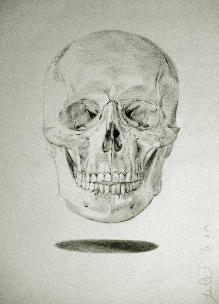 759x1053 Hamlet's Skull - Hamlet Skull Drawing