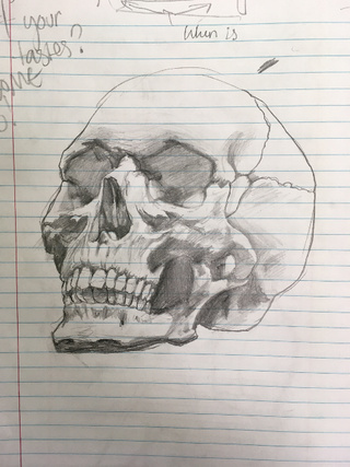 320x427 Hamlet - Hamlet Skull Drawing