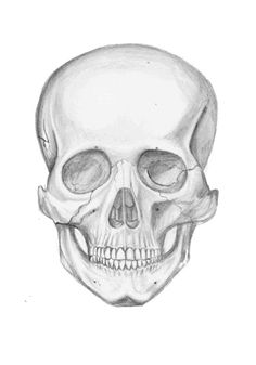 236x337 Best Skull Bones Images Skull, Skulls, Bones - Hamlet Skull Drawing