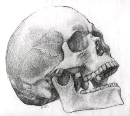 450x400 The Skull In Hamlet Is A Very Iconic Symbol In Our Society Most - Hamlet Skull Drawing