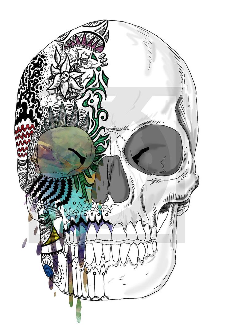 736x1067 Collection Of Free Displaced Clipart Hamlet Skull Download On Ui Ex - Hamlet Skull Drawing